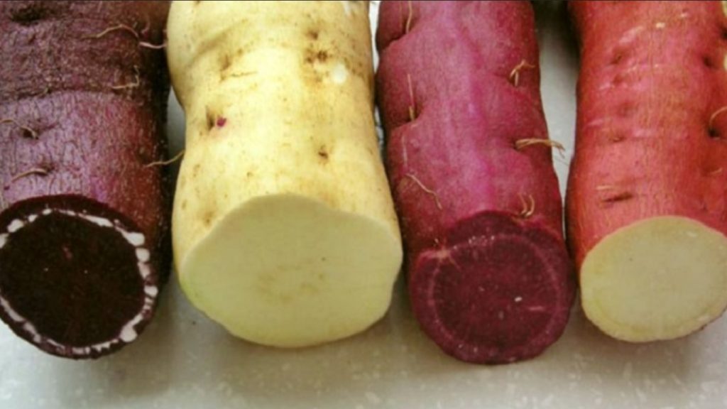 manfaat makan ubi rebus